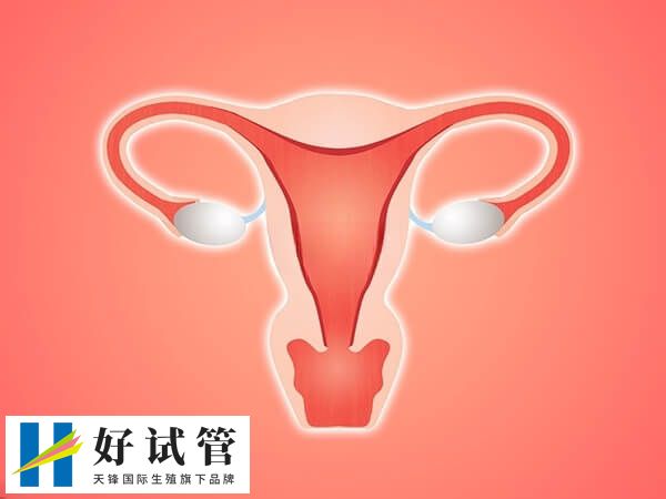 人工周期内膜转化需要几天(图1) 人工周期内膜转化时间是因人而异的