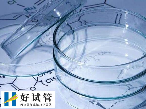 人工周期内膜转化需要几天(图2) 内膜调理是辅助生殖技术中的重要环节之一