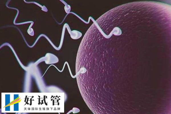 试管婴儿患9种疾病是哪些(图1) 试管婴儿与自然受孕儿相似