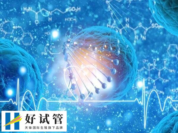 试管婴儿患9种疾病是哪些(图2) 试管可能因移植多个胚胎导致多胎妊娠