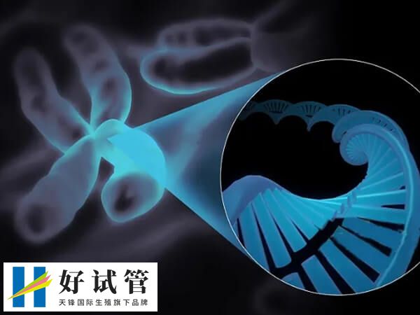 试管婴儿后发现骨肉瘤怎么办(图2) 骨肉瘤发生肺部转移后5年生存率显著降低