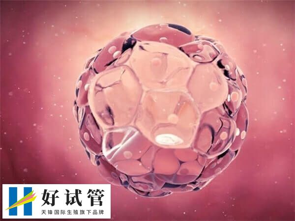 供卵移植失败的原因