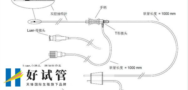 什么是双腔取卵针(图1) 双腔取卵针结构图