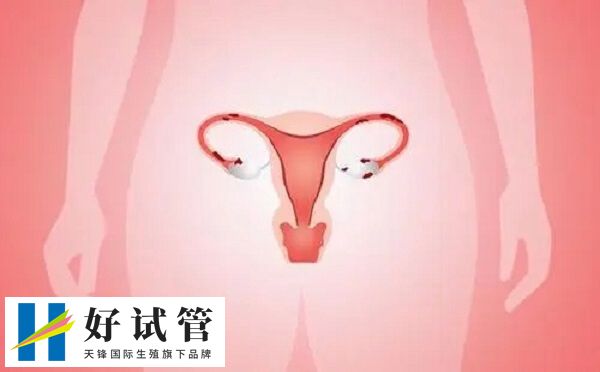 38岁fsh27能不能做试管婴儿(图2) 卵巢功能下降或衰竭后很难恢复